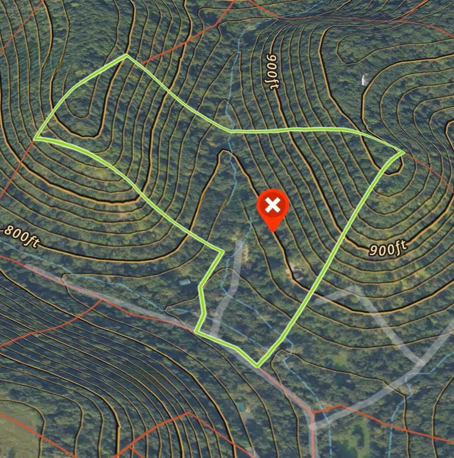 57751 Rainbow Dr, Freeman, WI 54628 - #3