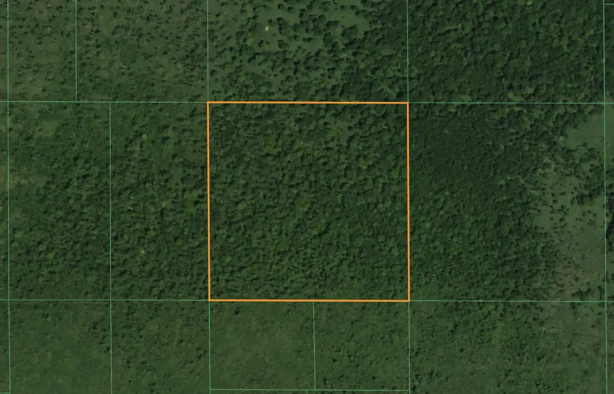 Lt1 State Highway 49, Bloomfield, WI 54965 - #1