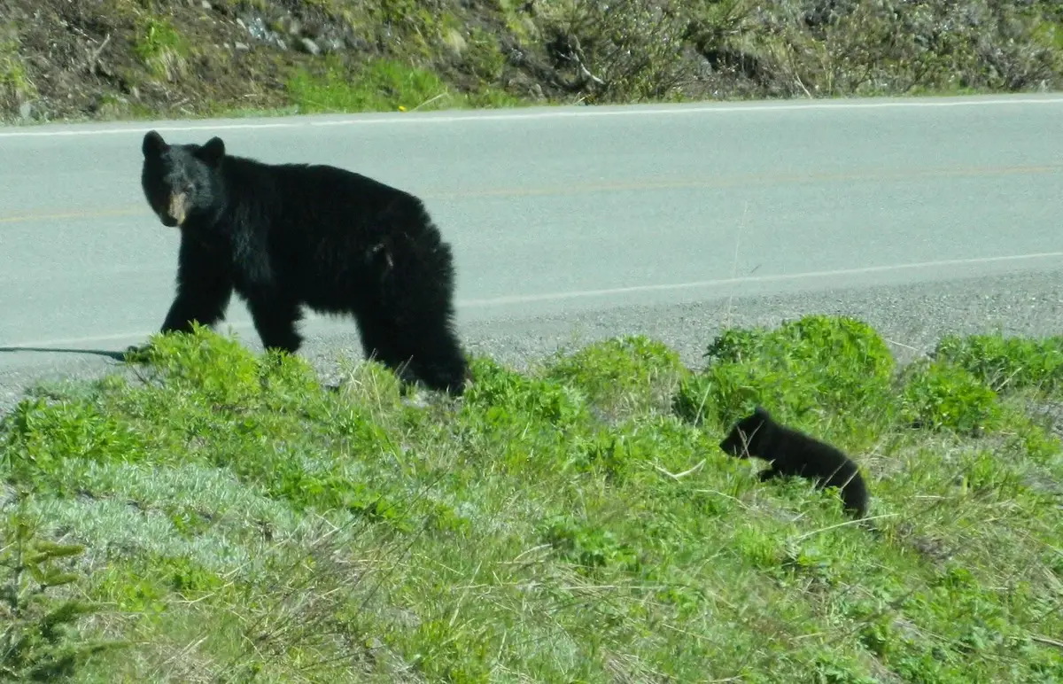 Lt4 Parkway Rd, Stephenson, WI 54114 - #1