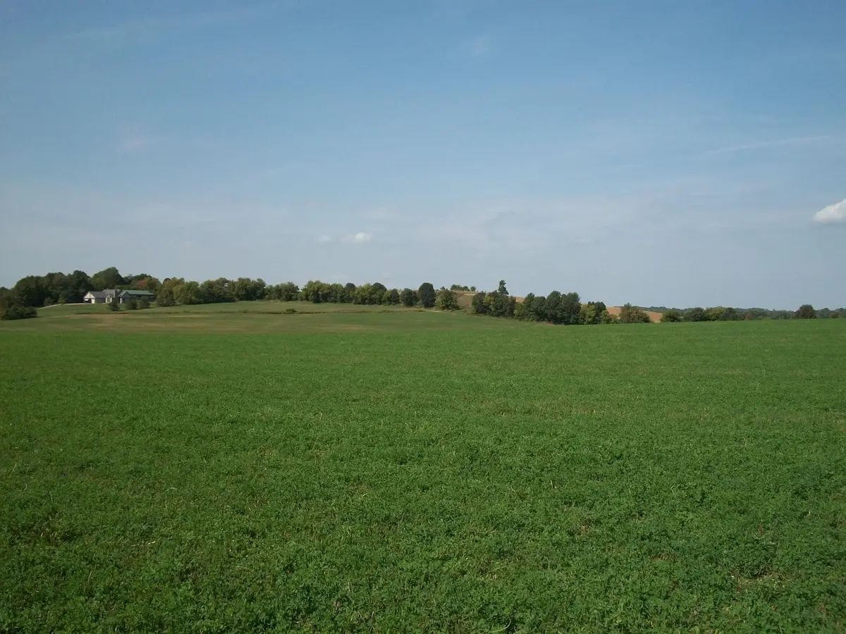 Lt1 Wilson Dr, Wayne, WI 53002 - #1