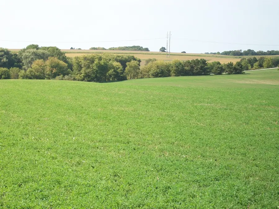 Lt1 Wilson Dr, Wayne, WI 53002 - #3