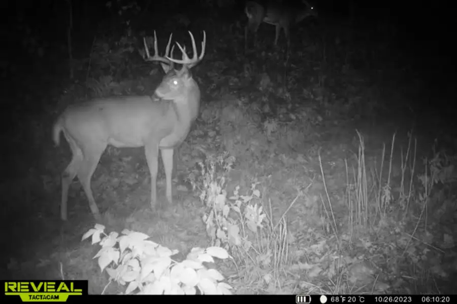 Lt0 County Road C, Wyoming, WI 53588 - #2