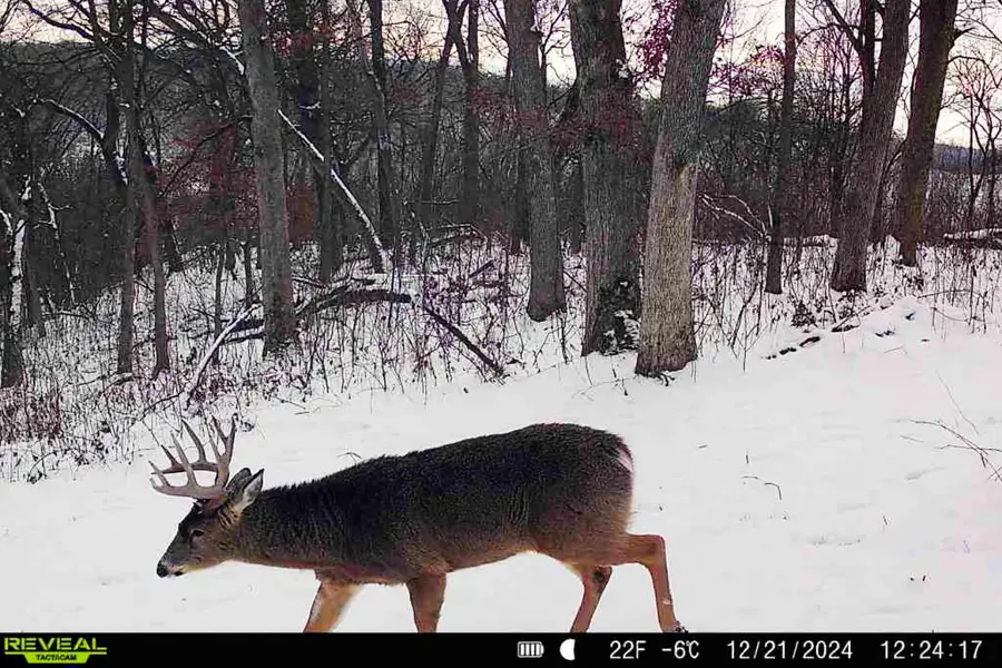 Lt0 County Road C, Wyoming, WI 53588 - #3