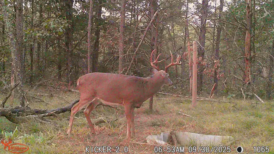 0 Lake Rd, Melrose, WI 54642 - #2