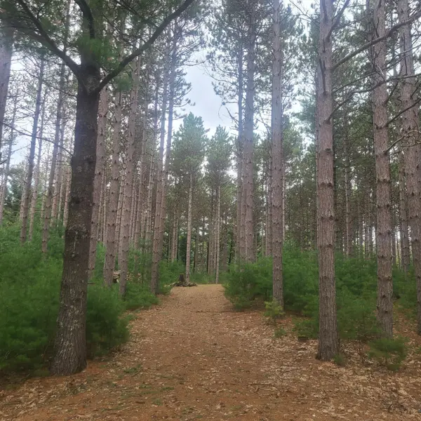 Lot 1 Fawn Ln, Hancock, WI 54943