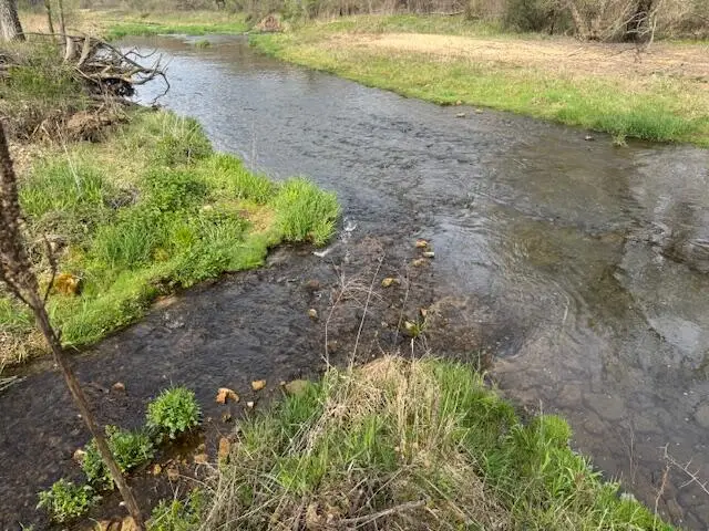 00 Bloomingdale Rd, Christiana, WI 54667 - #2