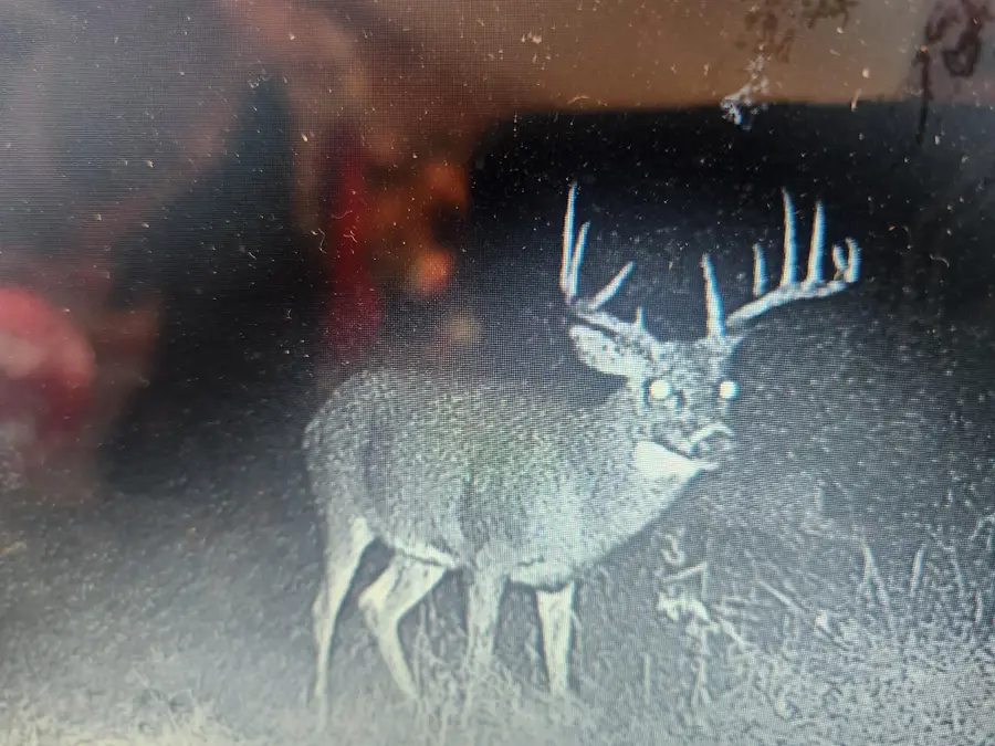 0 State Hwy 71, Little Falls, WI 54656 - #3