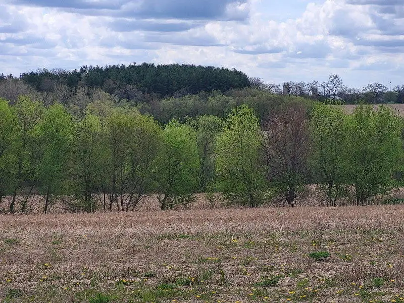 Lot 5 Swoboda Rd, East Troy, WI 53120 - #1