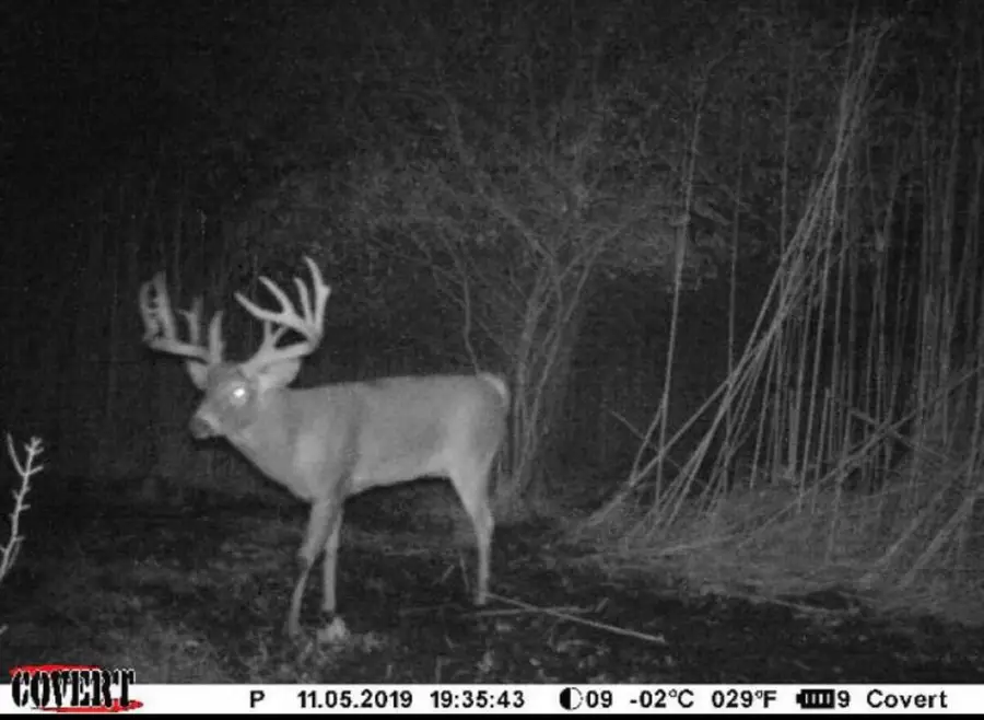 Lt0 County Hwy Nn, Jackson, WI 53095 - #3