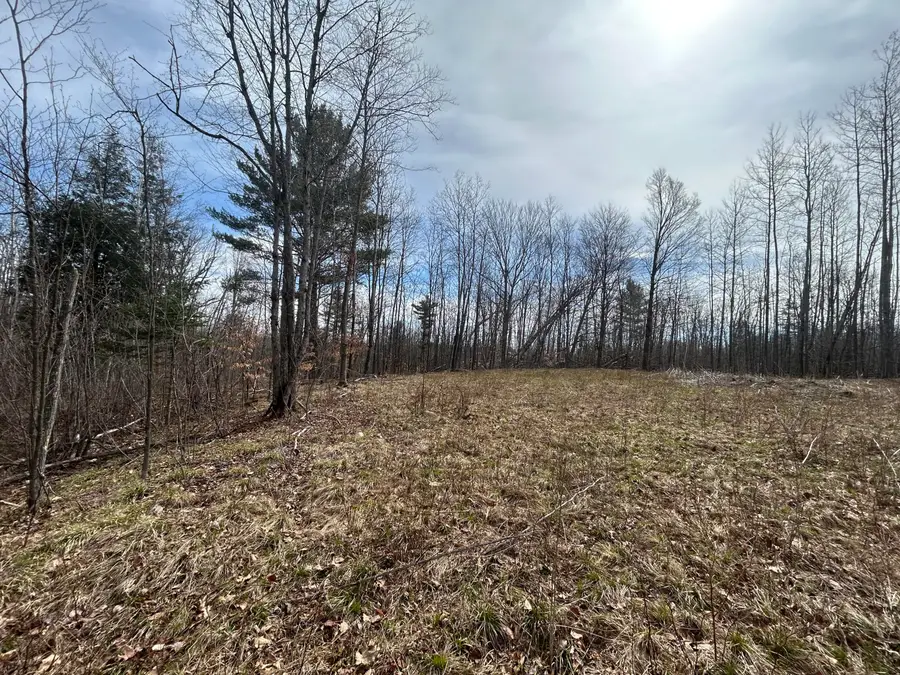16003 Cedar Lake Ln, Doty, WI 54149 - #2