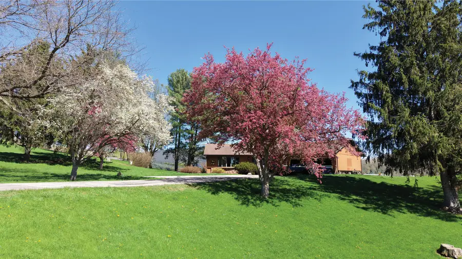 N4650 Crestwood Ln, Medary, WI 54650 - #3