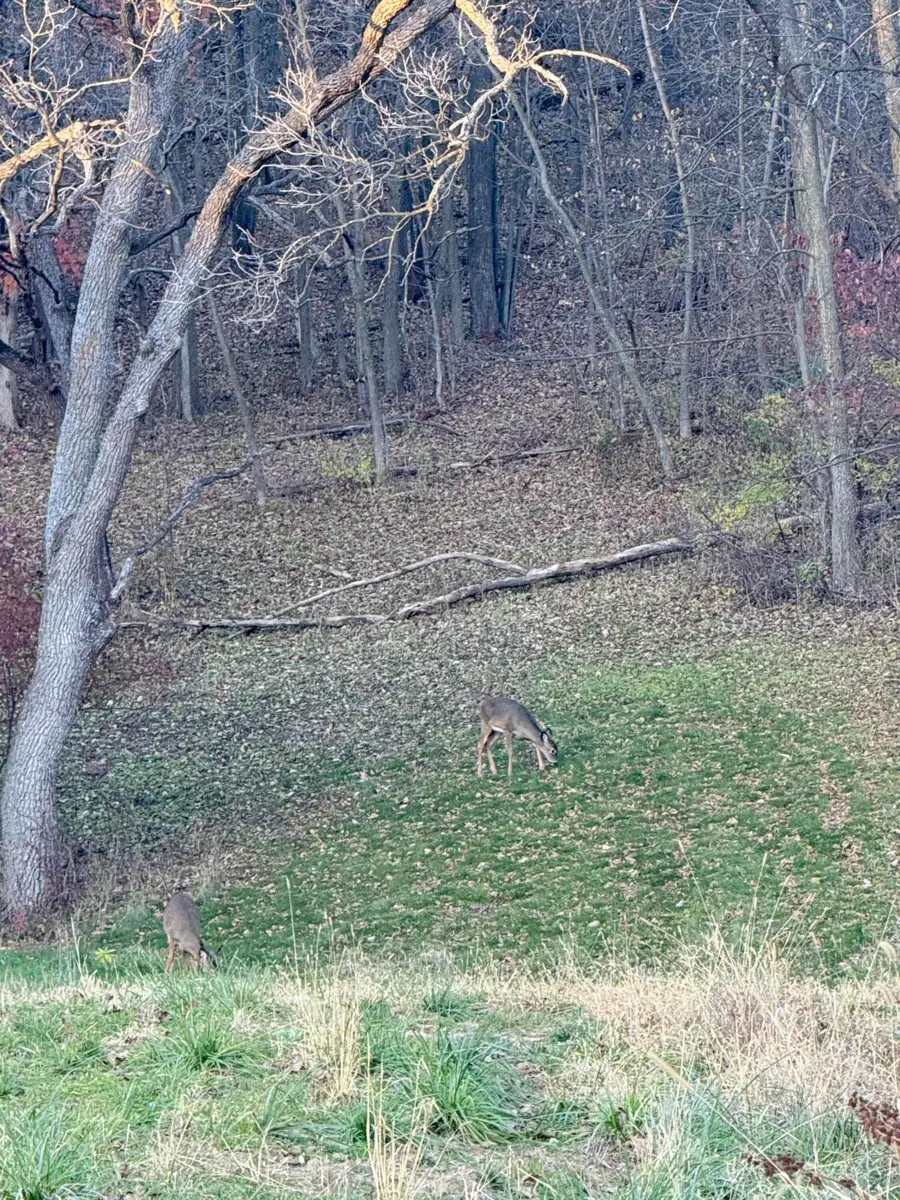 Lot 56 Grand Glen Ct, Onalaska, WI 54650 - #2