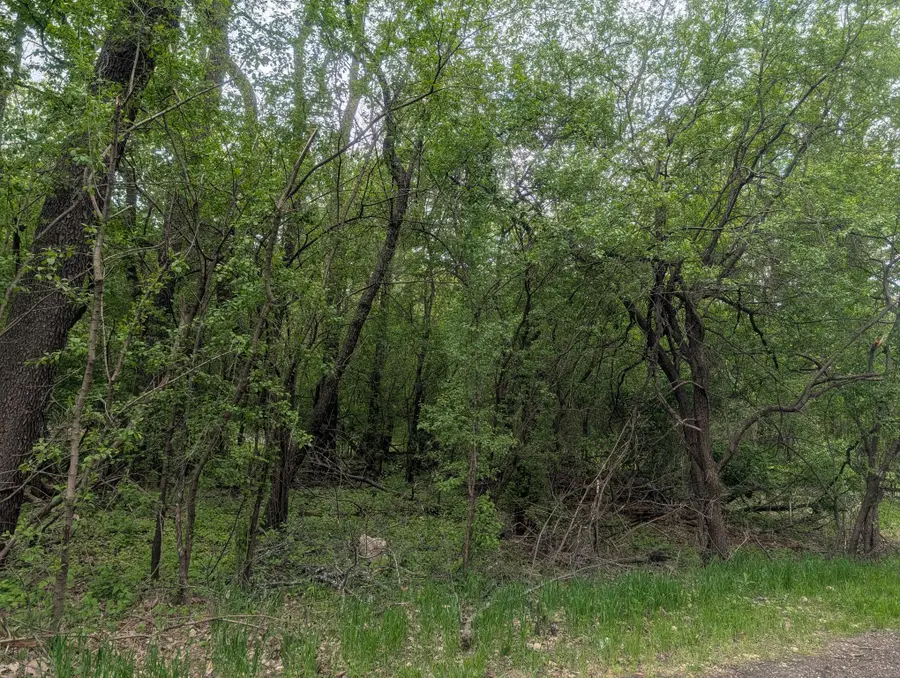 Lot 1 Hwy 11, Darien, WI 53114 - #3