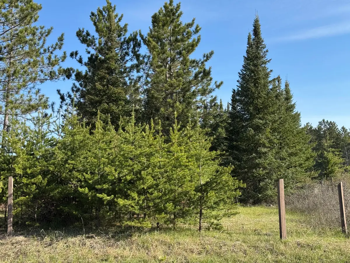 40 ac County Rd X / Deer Lake Rd, Stephenson, WI 54114 - #1