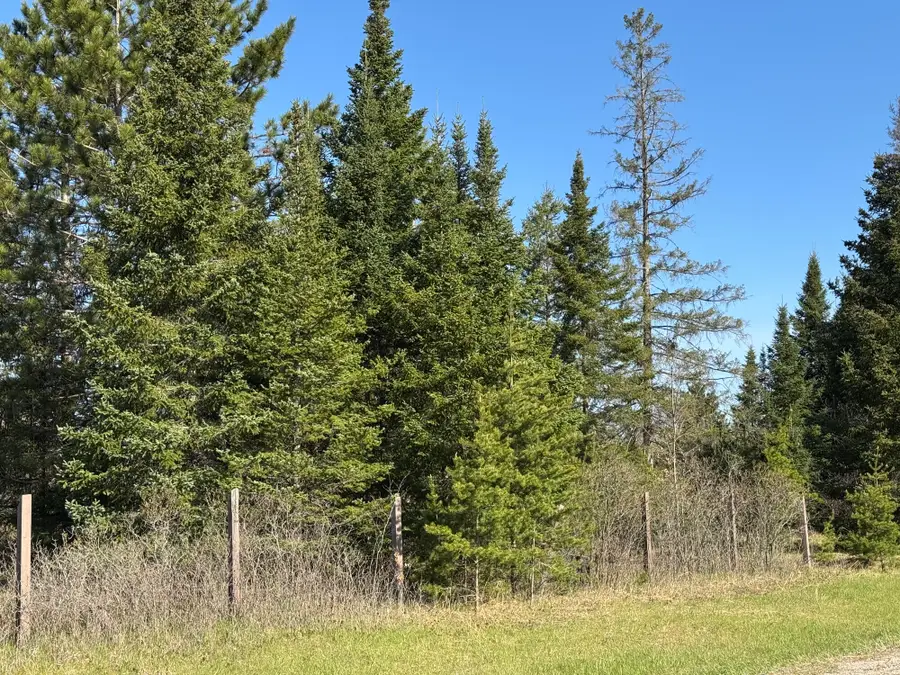 40 ac County Rd X / Deer Lake Rd, Stephenson, WI 54114 - #3
