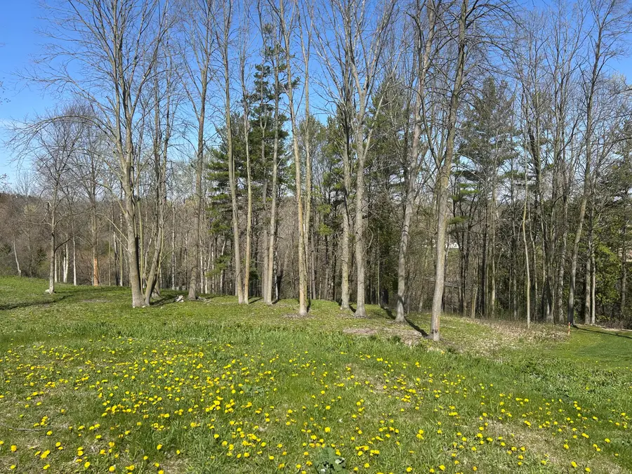 Lt29 Veranda Ct, Manitowoc, WI 54220 - #3