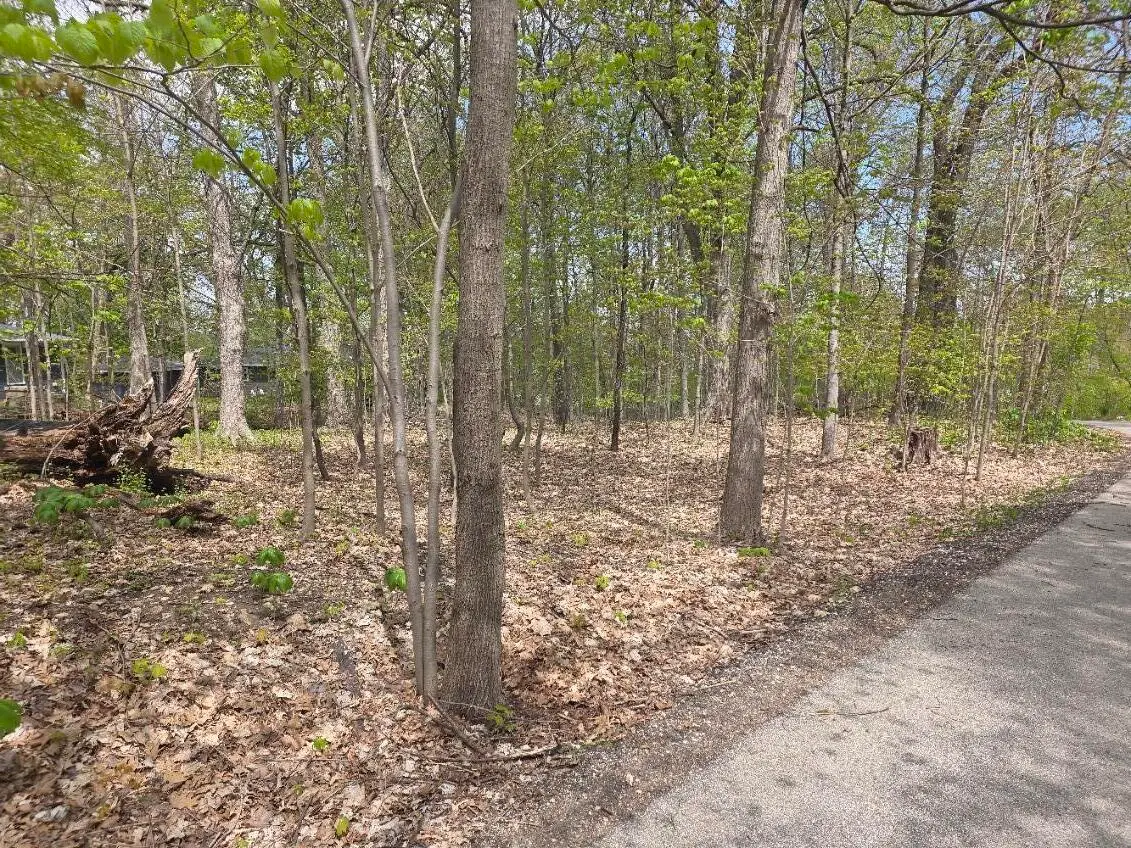 Lt19 & 20 Forest Dr, Geneva, WI 53147 - #1