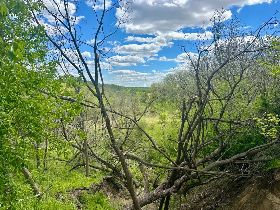 Lot 5 11th St S, Galesville, WI 54630 - #2