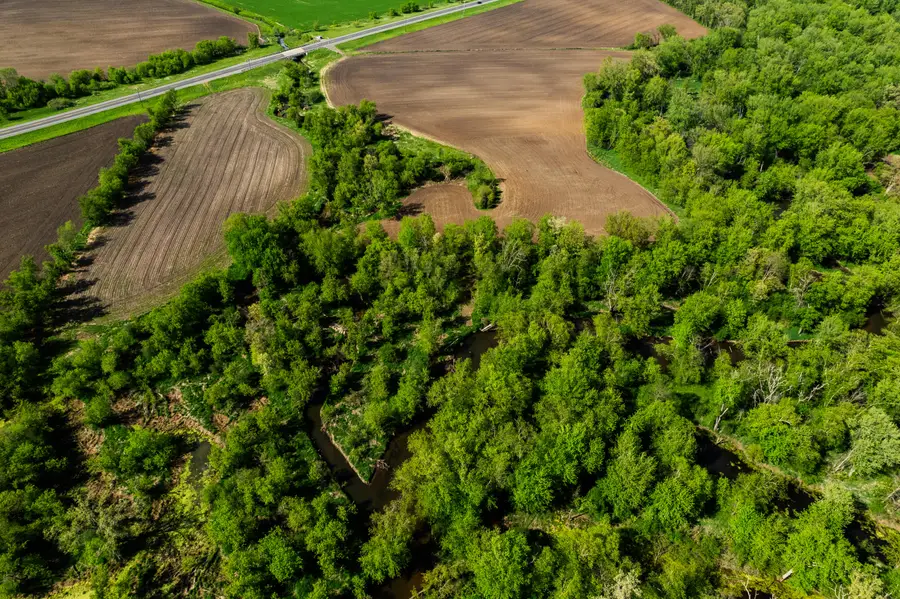 W16875 State Highway 95, Springfield, WI 54659 - #2