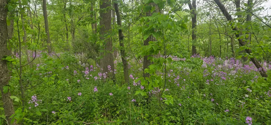 Lt7 Shore Ln, Sugar Creek, WI 53121 - #3