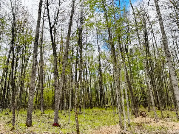 Lt4 Carrie Ln, Beaver, WI 54114
