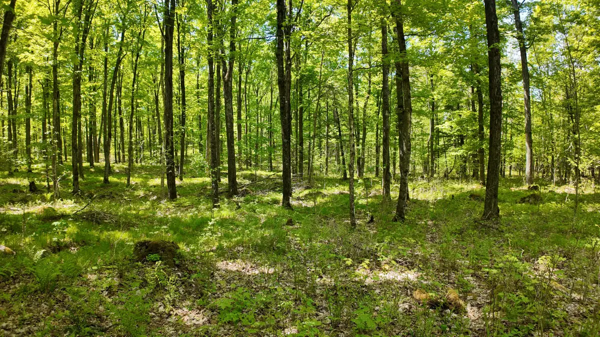 Lt1 Federal Forest Road, Laona, WI 54541 - #1