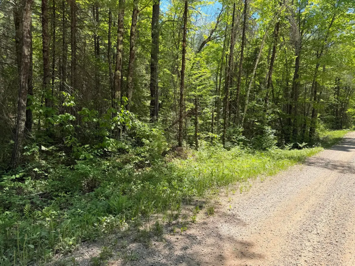 Lt1 Westberg Rd, Amberg, WI 54102 - #1