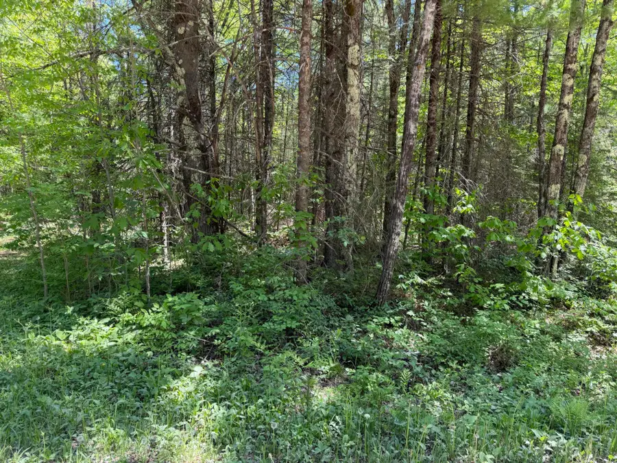 Lt1 Westberg Rd, Amberg, WI 54102 - #2