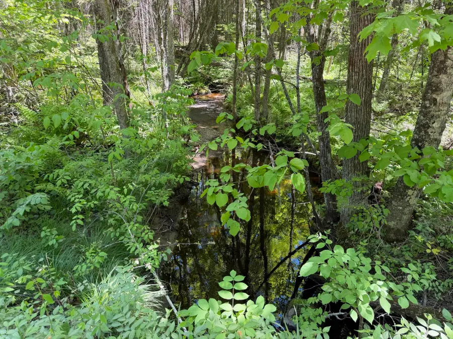Lt1 Westberg Rd, Amberg, WI 54102 - #3