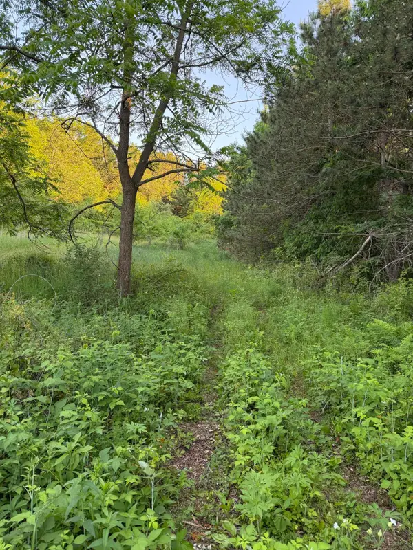 000 Culpitt Rd, Burns, WI 54614