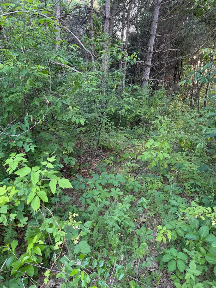 000 Culpitt Rd, Burns, WI 54614 - #2