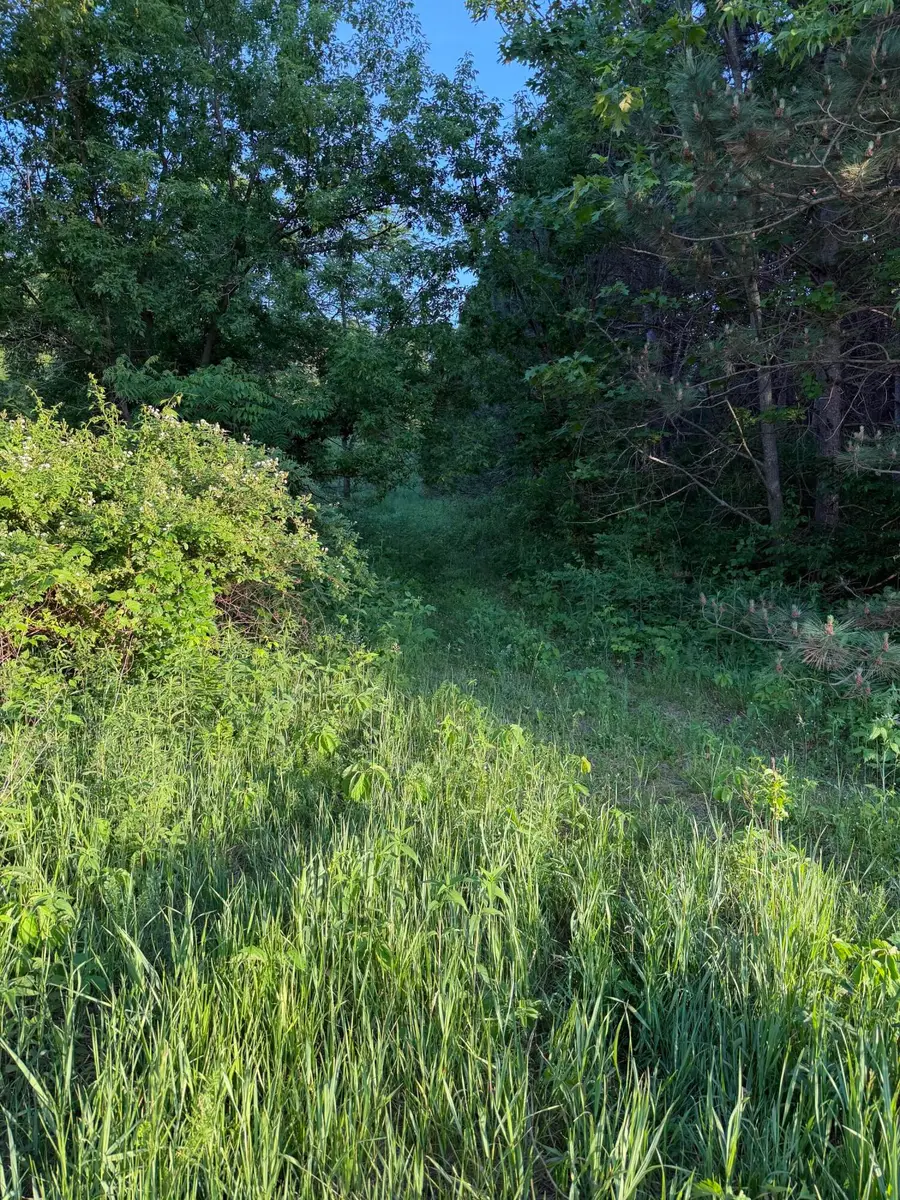 000 Culpitt Rd, Burns, WI 54614 - #3
