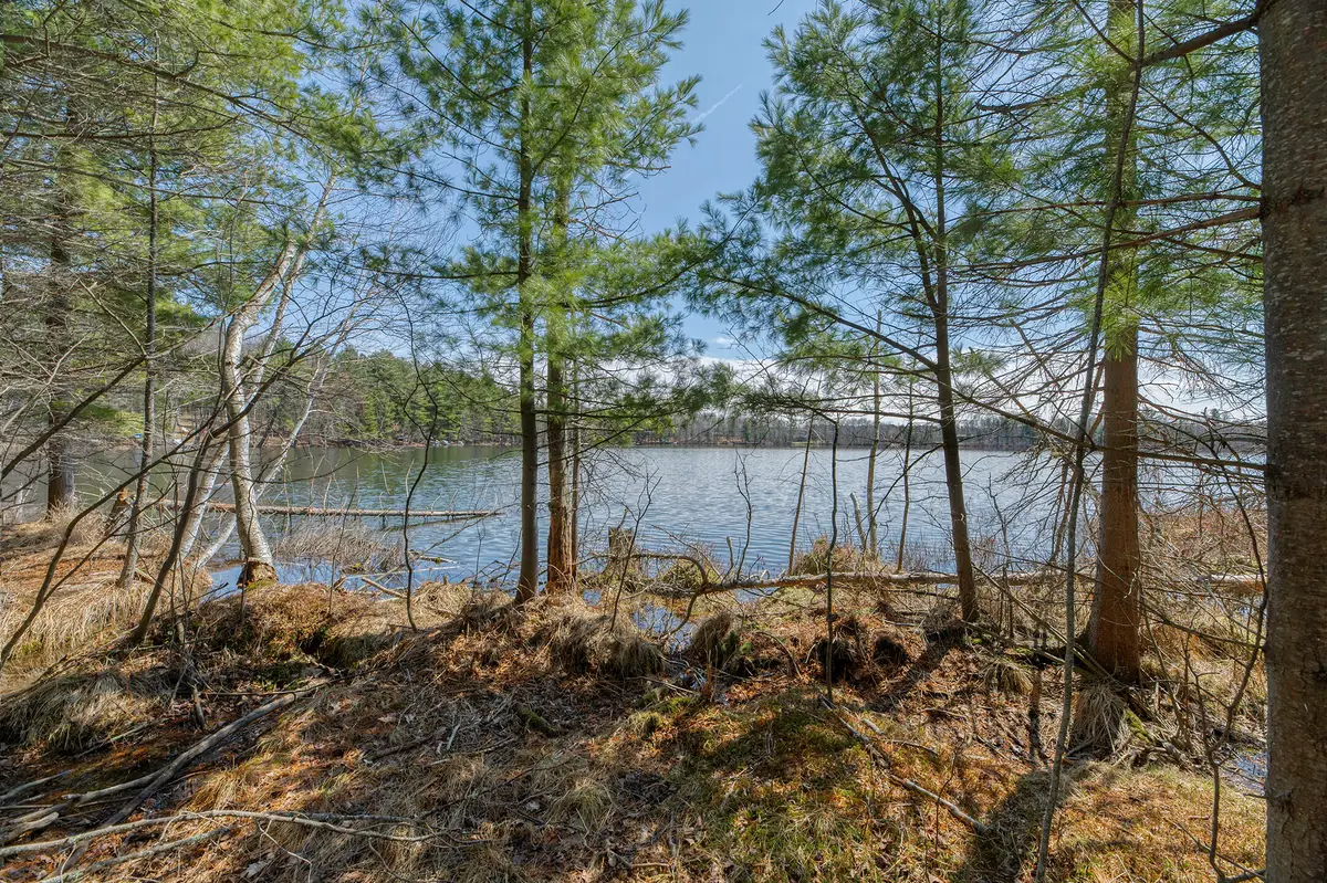 8811 Virgin Lake Rd, Woodboro, WI 54487 - #1