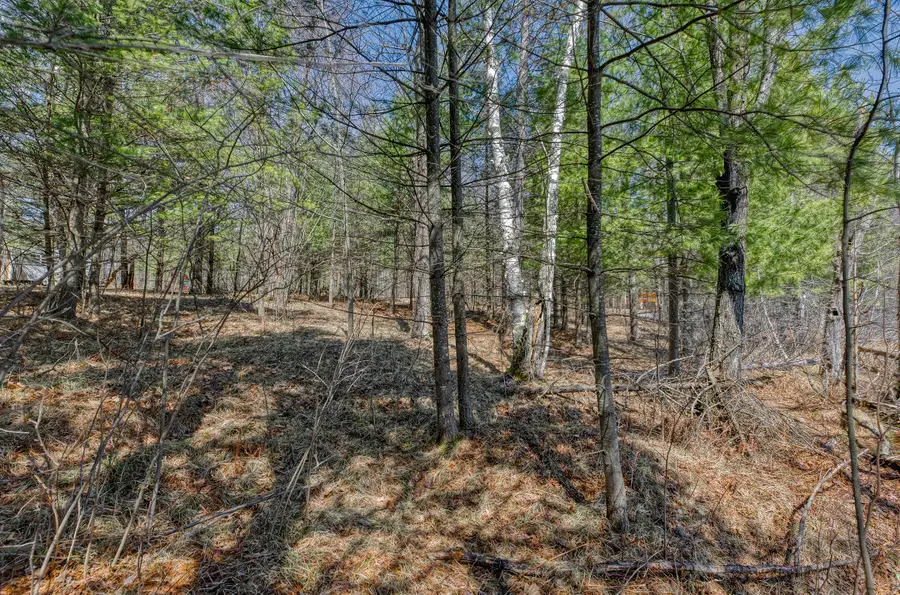 8811 Virgin Lake Rd, Woodboro, WI 54487 - #3