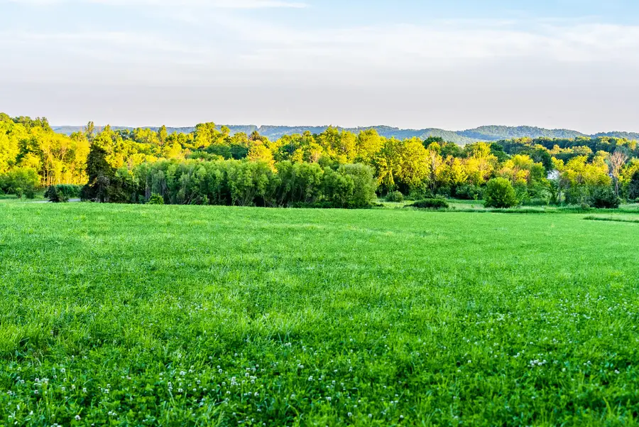 Lt0 Denzer Rd, Honey Creek, WI 53951 - #3