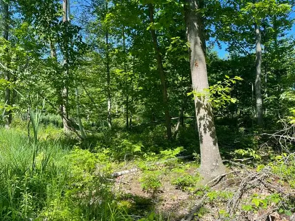 CTY Shawano Line Rd, Green Valley, WI 54124