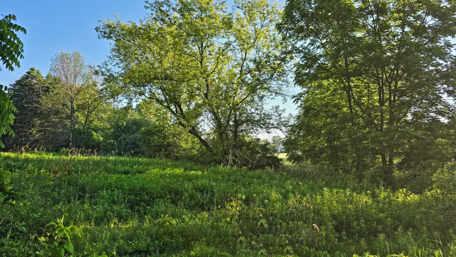 Tract 7 Woodcock St, Mishicot, WI 54228 - #3