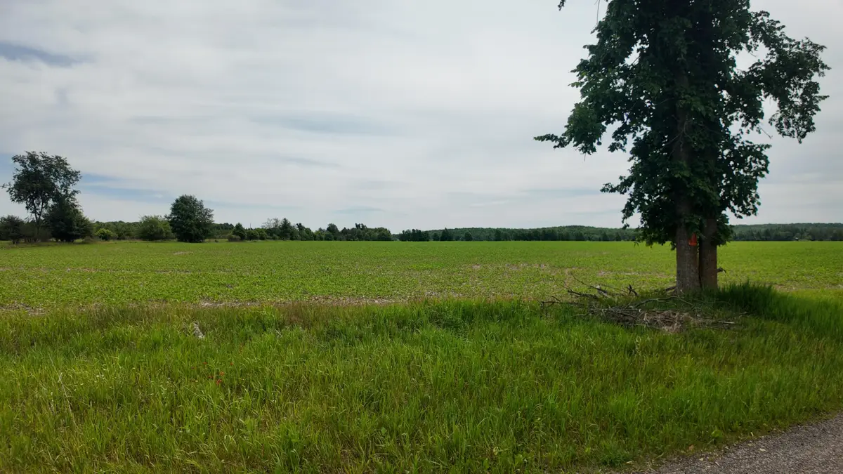 Lt1 Peshtigo River Rd, Laona, WI 54541 - #1
