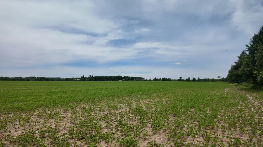 Lt1 Peshtigo River Rd, Laona, WI 54541 - #3