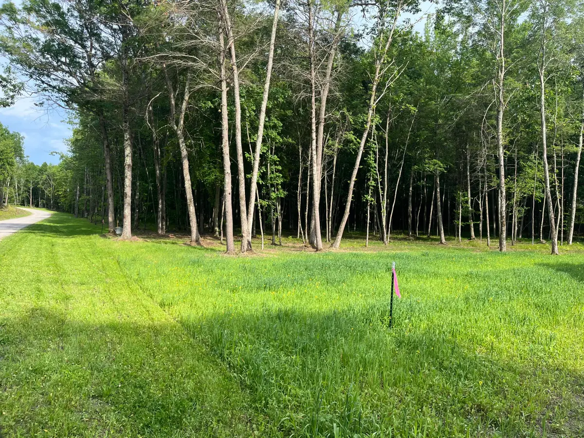 Lt4 Carrie Ln, Beaver, WI 54114 - #1