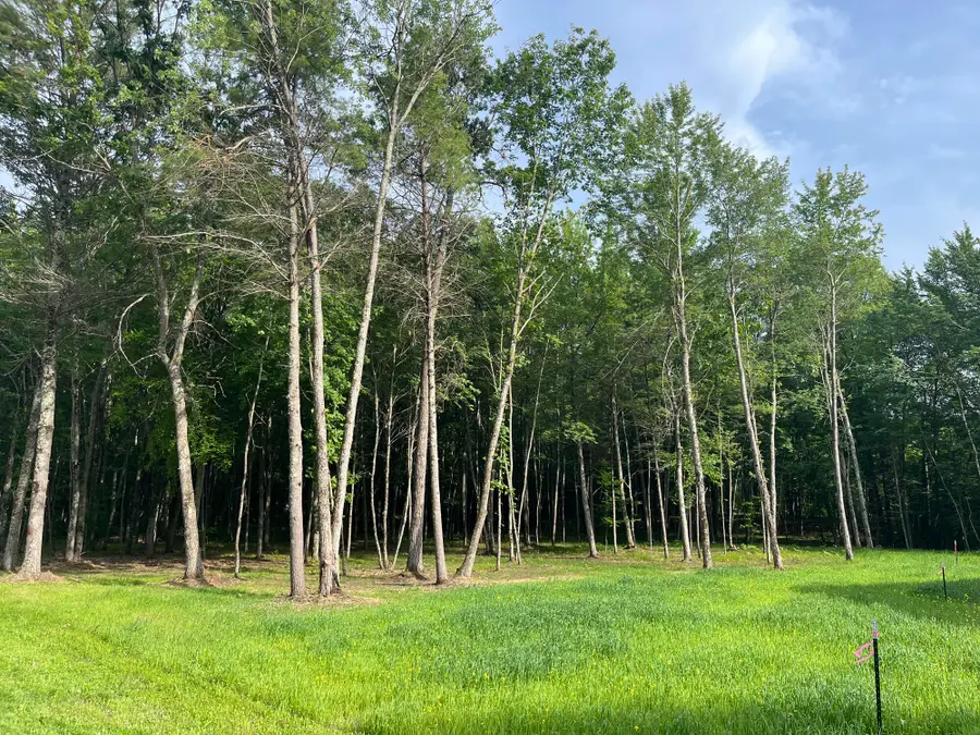 Lt4 Carrie Ln, Beaver, WI 54114 - #2