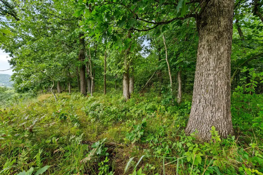 Lt3 County Road N, Frankfort, WI 54721 - #2