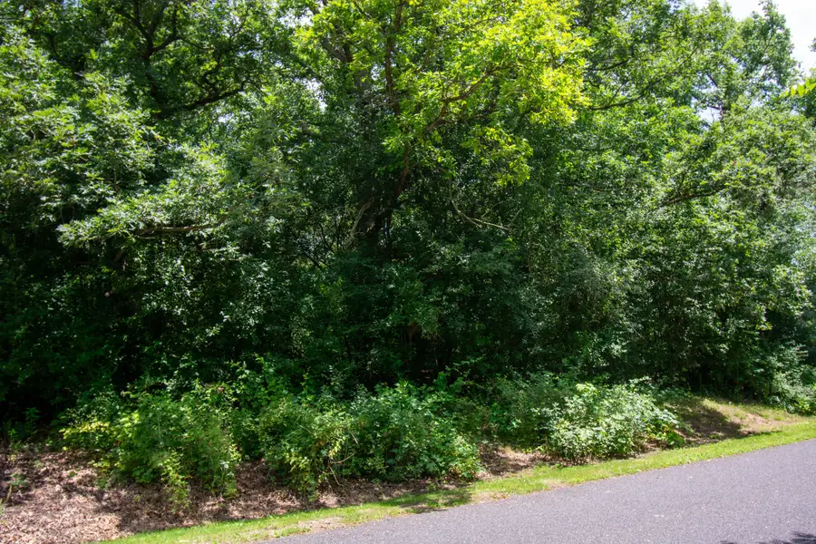 Lt0 Tamarack Ridge Rd, Lafayette, WI 53121 - #2