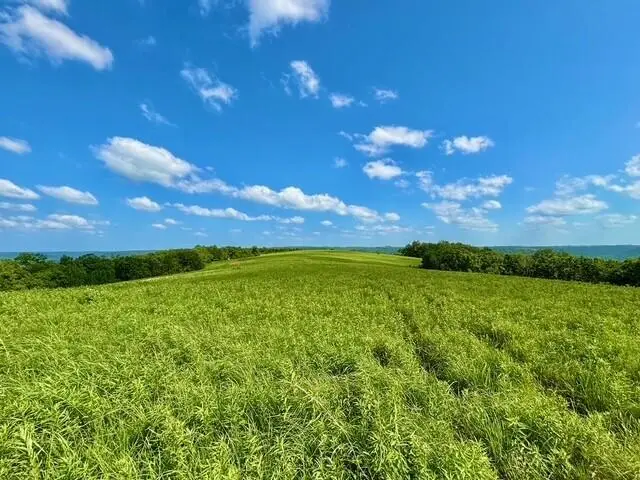 0 State 30 Hwy, Rushford, MN 55971 - #2