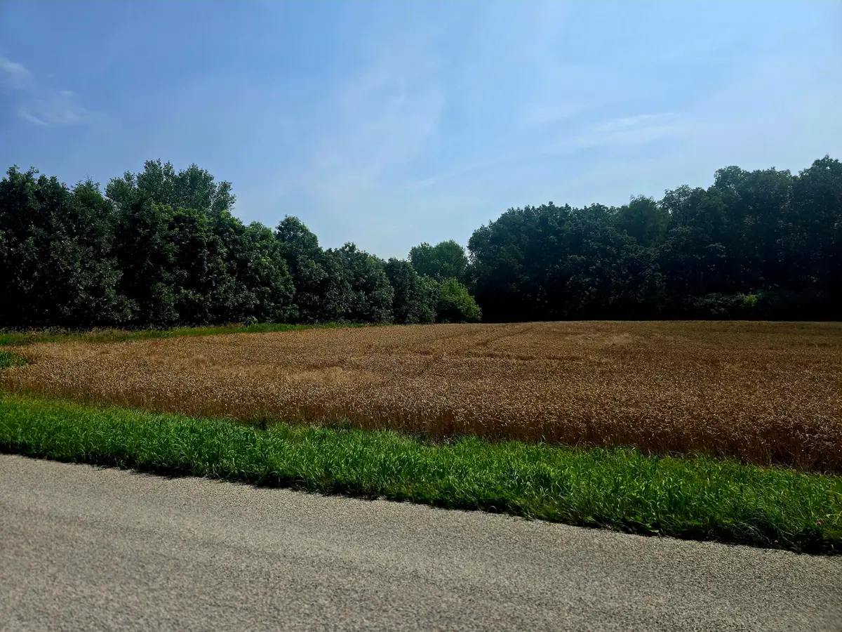 Lt1 Juniper Rd, Trenton, WI 53916 - #1