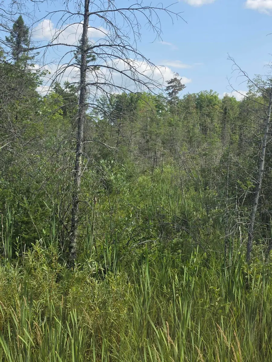 Lt0 Broennenberg Rd, Wagner, WI 54177 - #2