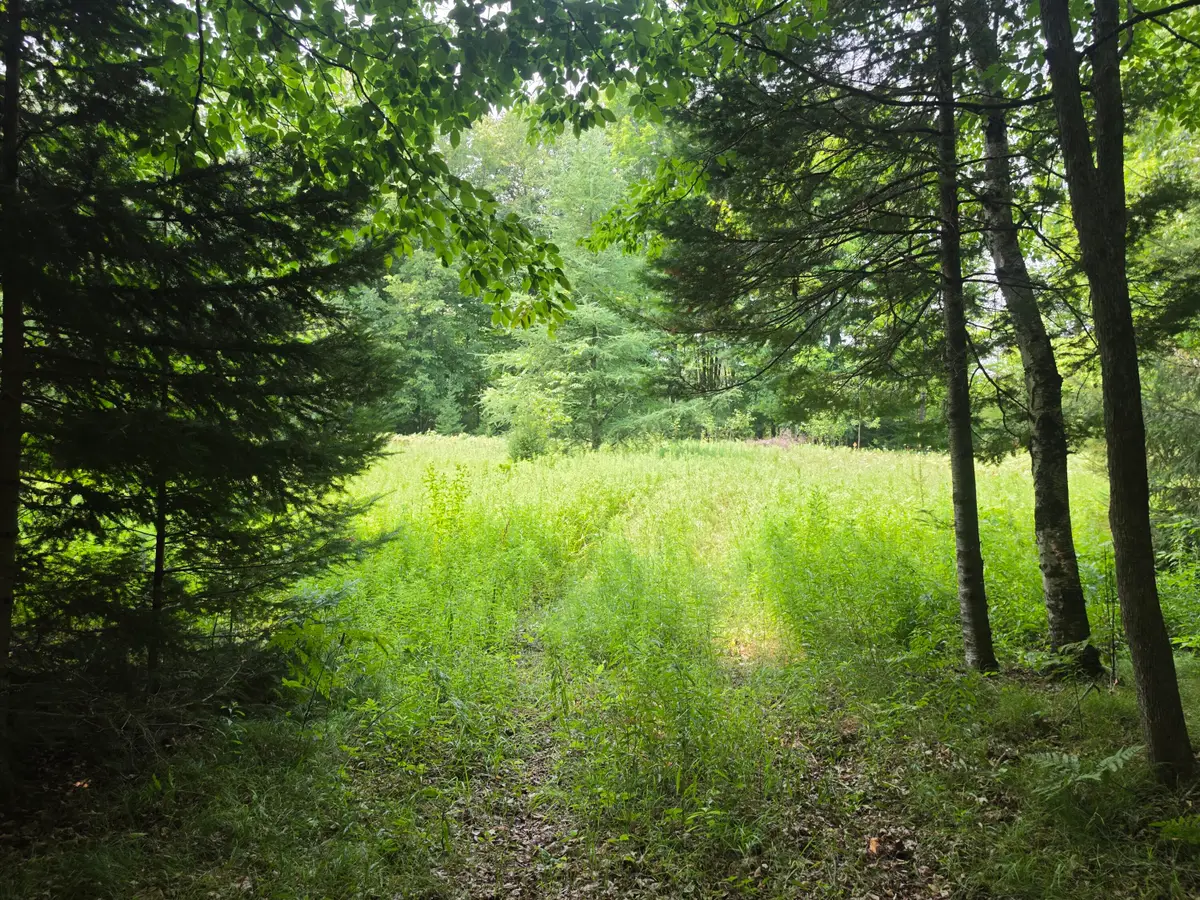 37.30 Acres Old Rail Rd, Wausaukee, WI 54177 - #1