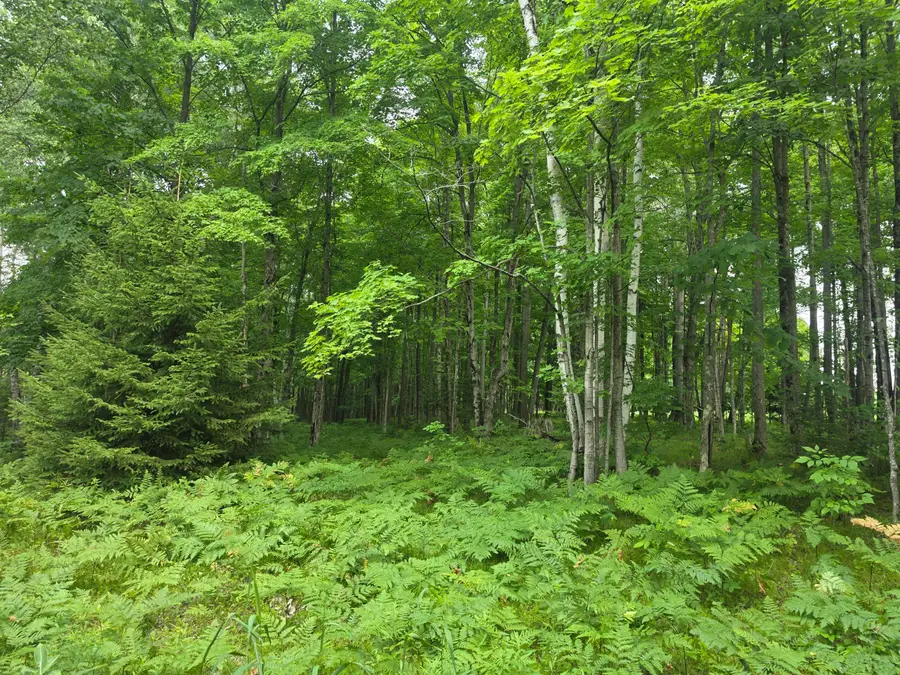 37.30 Acres Old Rail Rd, Wausaukee, WI 54177 - #2
