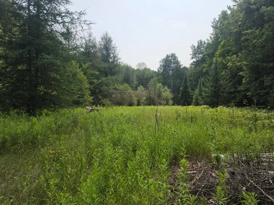 37.30 Acres Old Rail Rd, Wausaukee, WI 54177 - #3