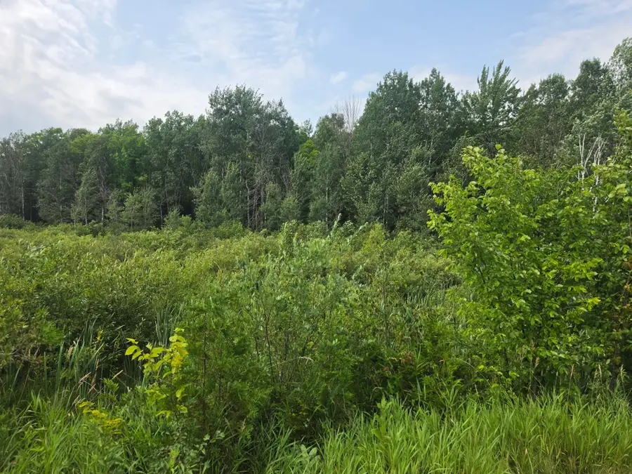 38.10 Acres Old Rail Rd, Wausaukee, WI 54177 - #2